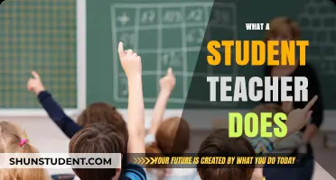 Exploring the Role: What Student Teachers Do in the Classroom