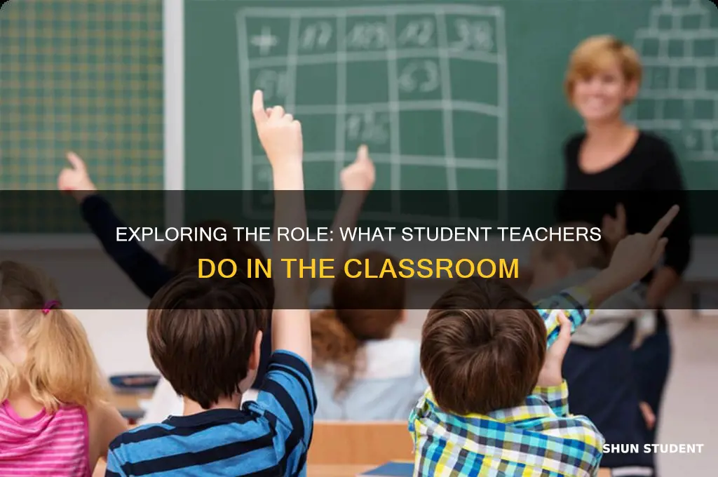 what a student teacher does
