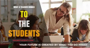 Teachers: Shaping Minds, Inspiring Futures, and Transforming Lives Daily