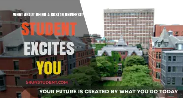 Exploring Boston University: My Exciting Student Journey