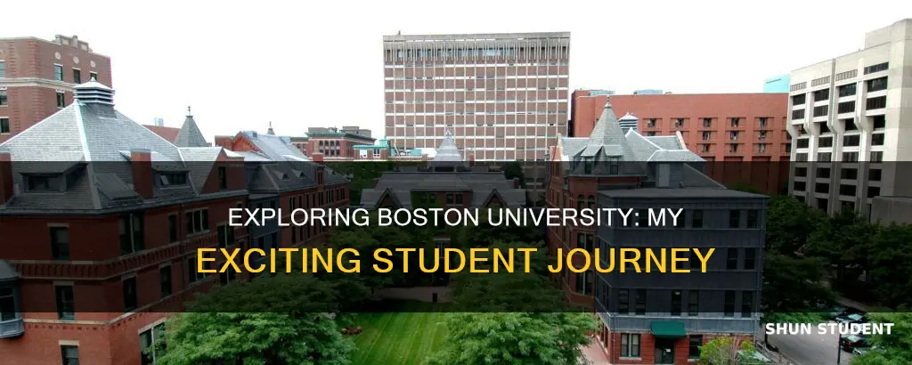what about being a boston university student excites you