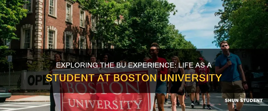 what about being a student at boston university