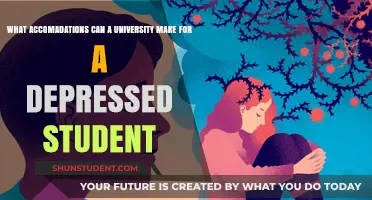 University Support for Depressed Students: What's Available?