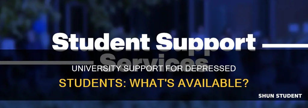 what accomadations can a university make for a depressed student