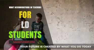 Effective Teaching Accommodations for Students with Learning Disabilities
