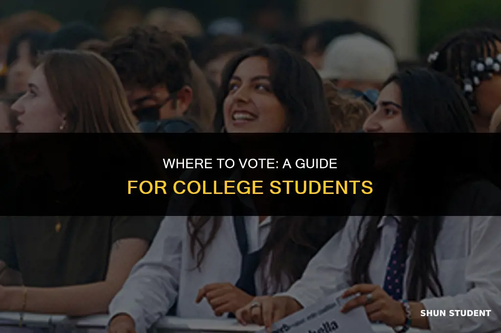 what address do college students use to vote