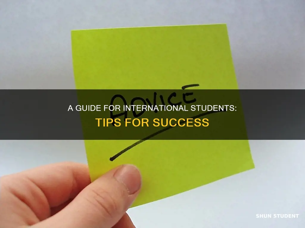 what advice would you give to international student