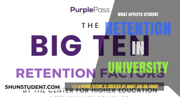 Factors Influencing Student Retention at University