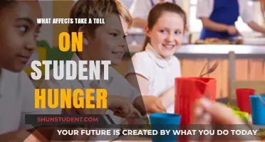 Factors Impacting Student Hunger: A Comprehensive Analysis