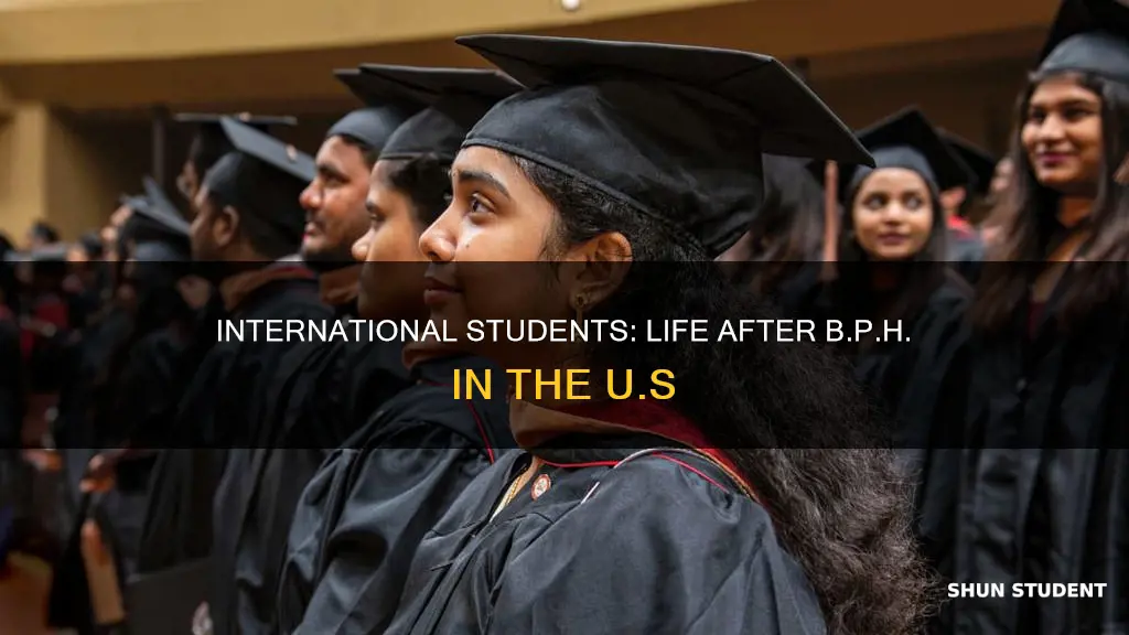 what after bph in usa for international students