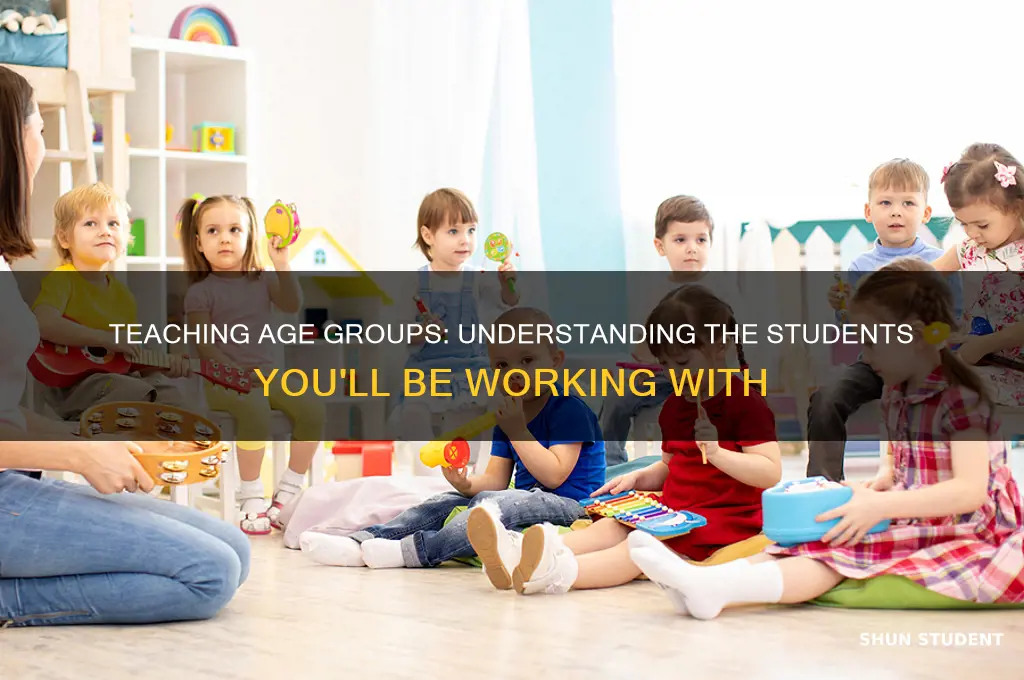 what age of students will i be working with
