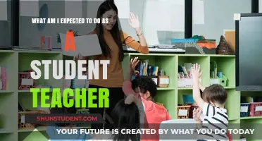 Student Teaching Essentials: Roles, Responsibilities, and Expectations Explained