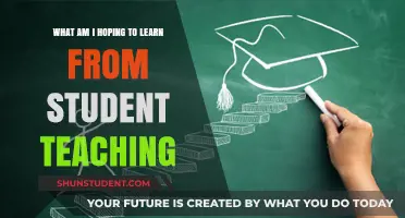 Discovering My Teaching Journey: Insights and Growth Through Student Teaching