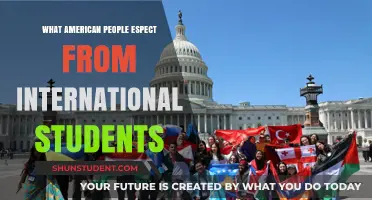 American Expectations of International Students