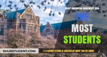 Universities with the Highest Enrollment in the US