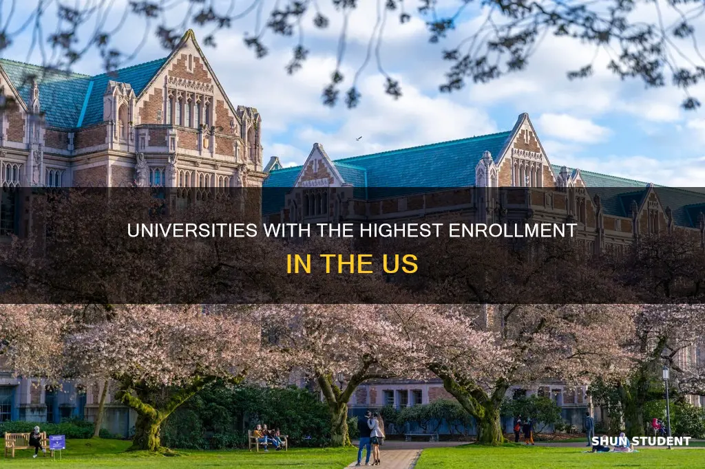 what american university has the most students