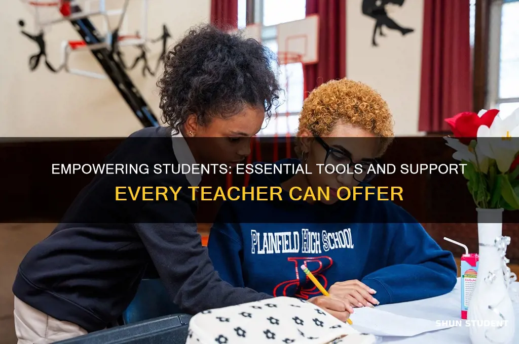 what an i offer students as a teacher