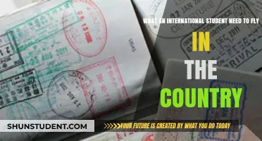 A Guide for International Students to Fly In