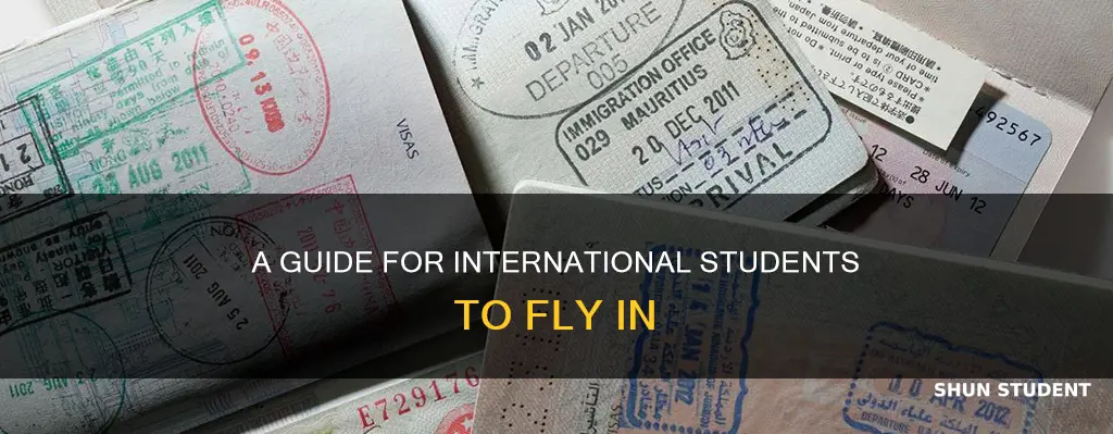 what an international student need to fly in the country