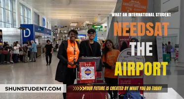 Essentials for International Students at the Airport