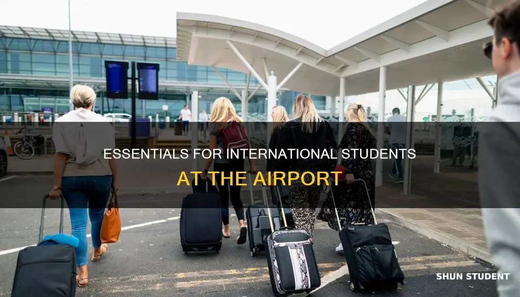 what an international student needsat the airport