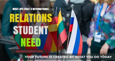 Essential Apps for International Relations Students