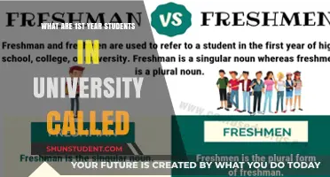 University 101: Understanding the Lingo of Freshmen