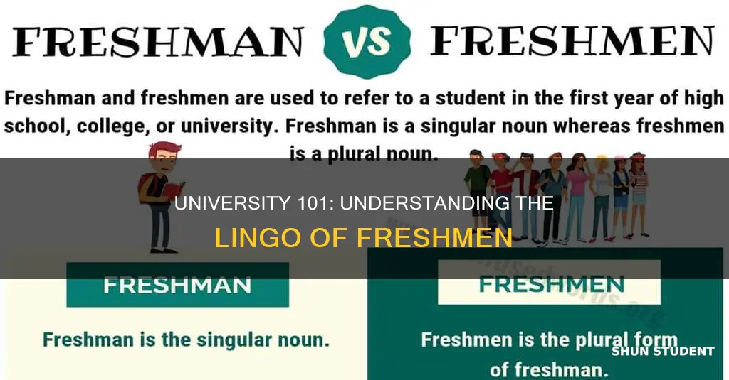 what are 1st year students in university called
