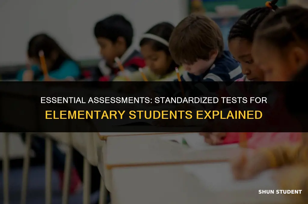 what are 2 standardized tests that elementary students take