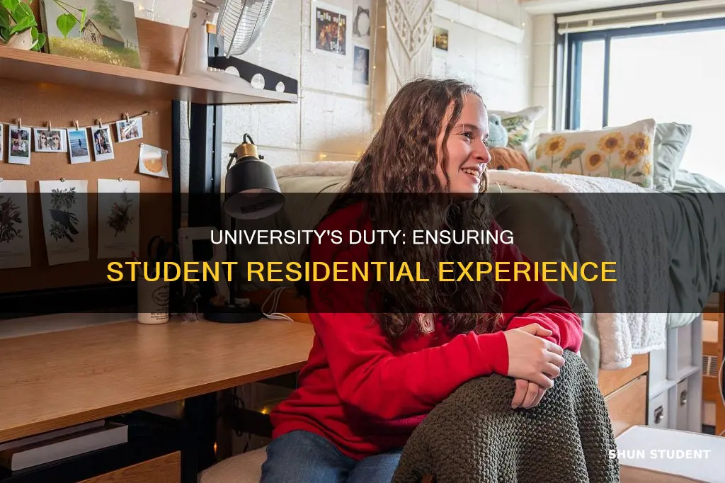 what are a university