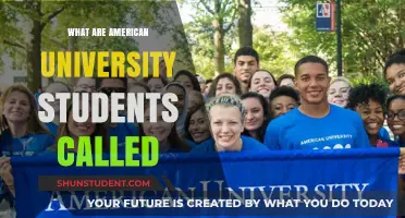 American University Students: What's in a Name?
