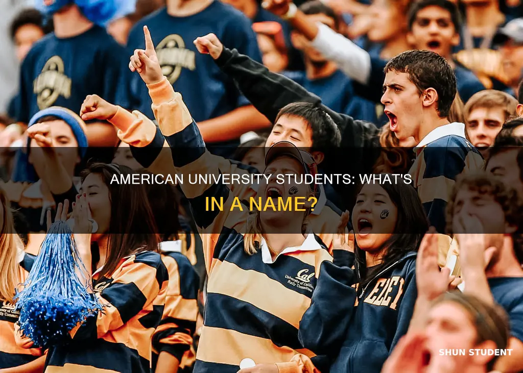 what are american university students called