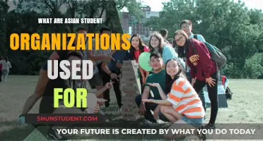 Exploring the Purpose and Impact of Asian Student Organizations