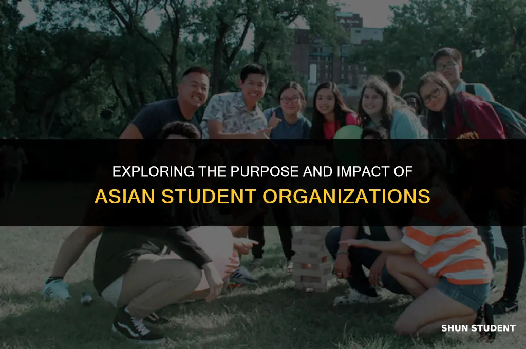 what are asian student organizations used for