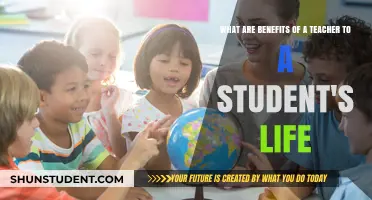 Teachers Transform Lives: Unlocking Student Potential and Shaping Futures