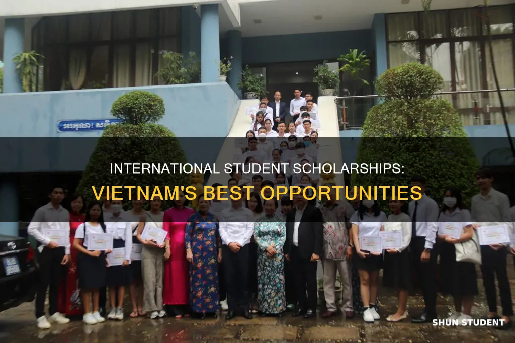 what are best scholarships for international students in vietnam