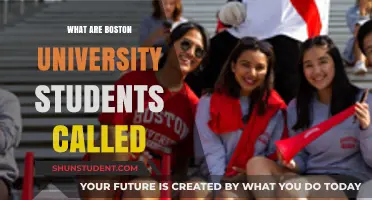 Boston University Students: What's in a Name?