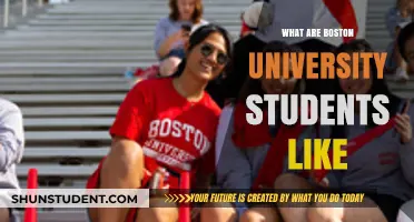 The Real Boston University Student Experience