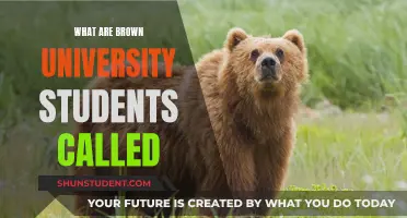 Brown Bears: Unveiling the Nickname of Brown University Students