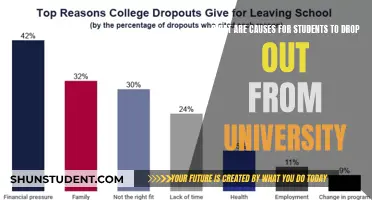 Unraveling the University Dropout Crisis: Understanding the Why