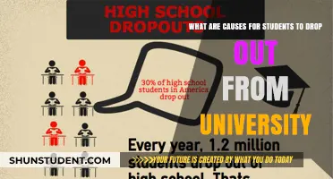 University Dropouts: Understanding the Reasons Behind It