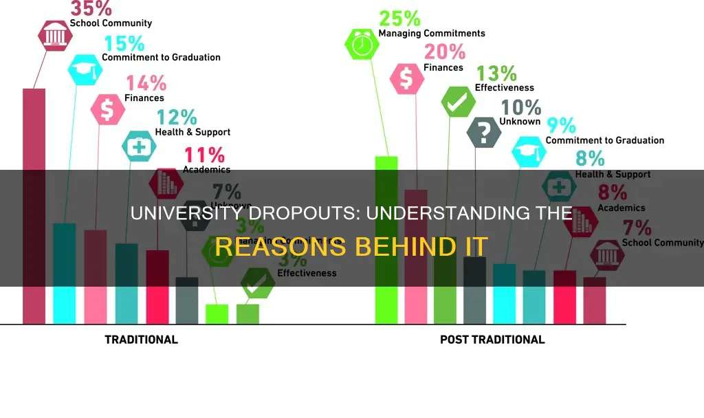 what are causes for students to drop out from university