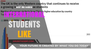 Chinese International Students: An Intriguing Insight