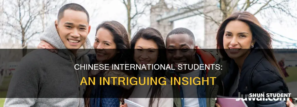 what are chinese international students like