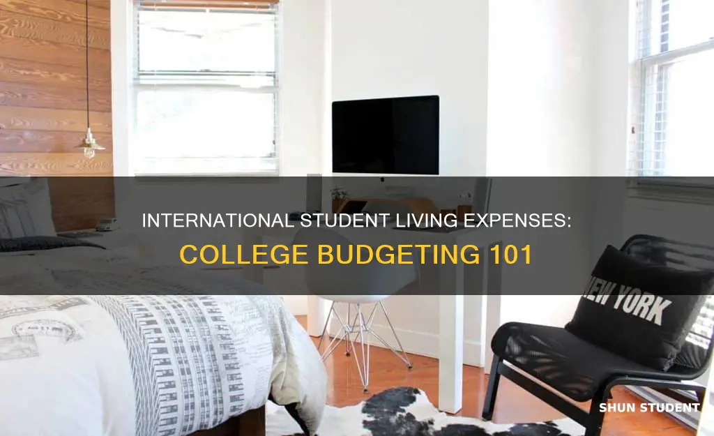 what are college living expenses for international students