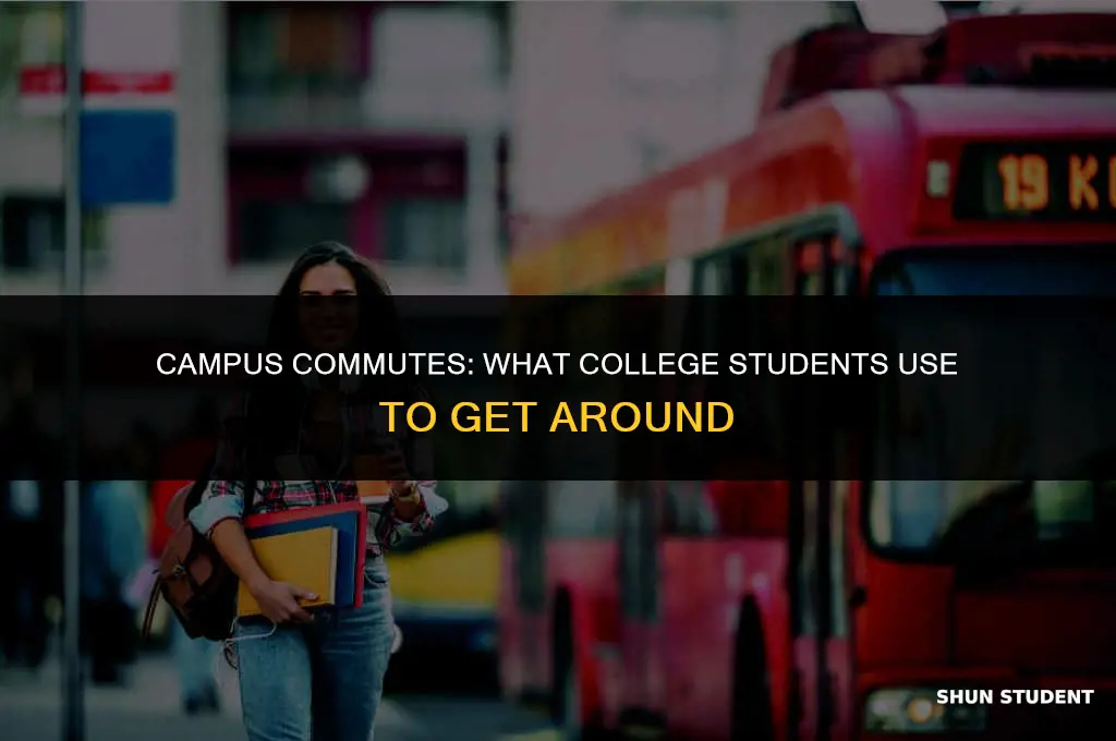 what are college students using to get around campus