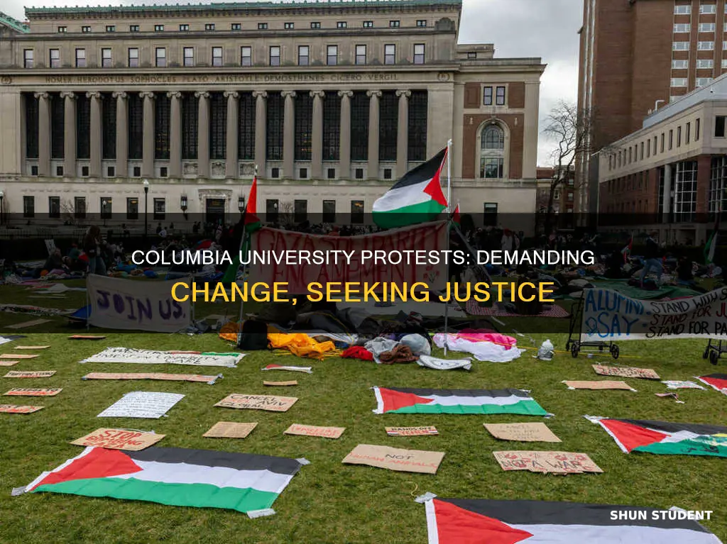 what are columbia university students protesting