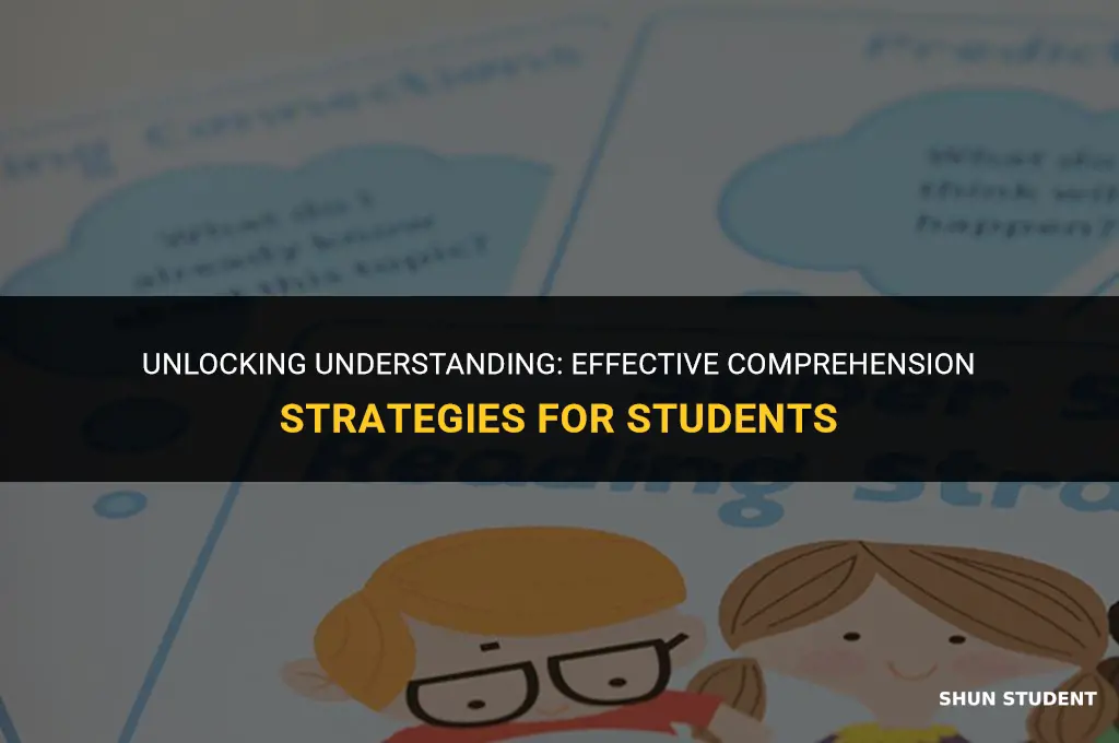 what are comprehension strategies that students use