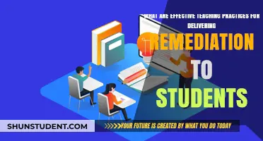 Effective Teaching Strategies for Delivering Remediation to Struggling Students