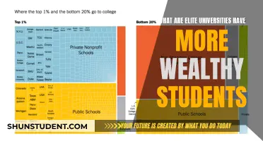 Wealthy Students: The Elite University Advantage